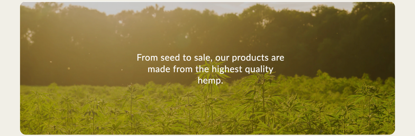Banner image with text - from seed to sale, our products are made from the highest quality hemp