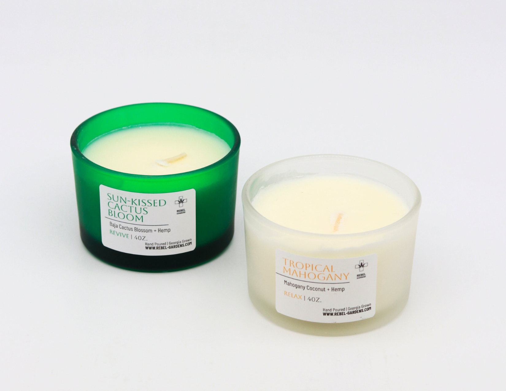 4oz Sun-Kissed Cactus Bloom candle