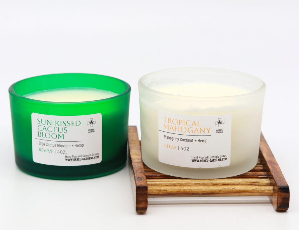 4oz Sun-Kissed Cactus Bloom candle