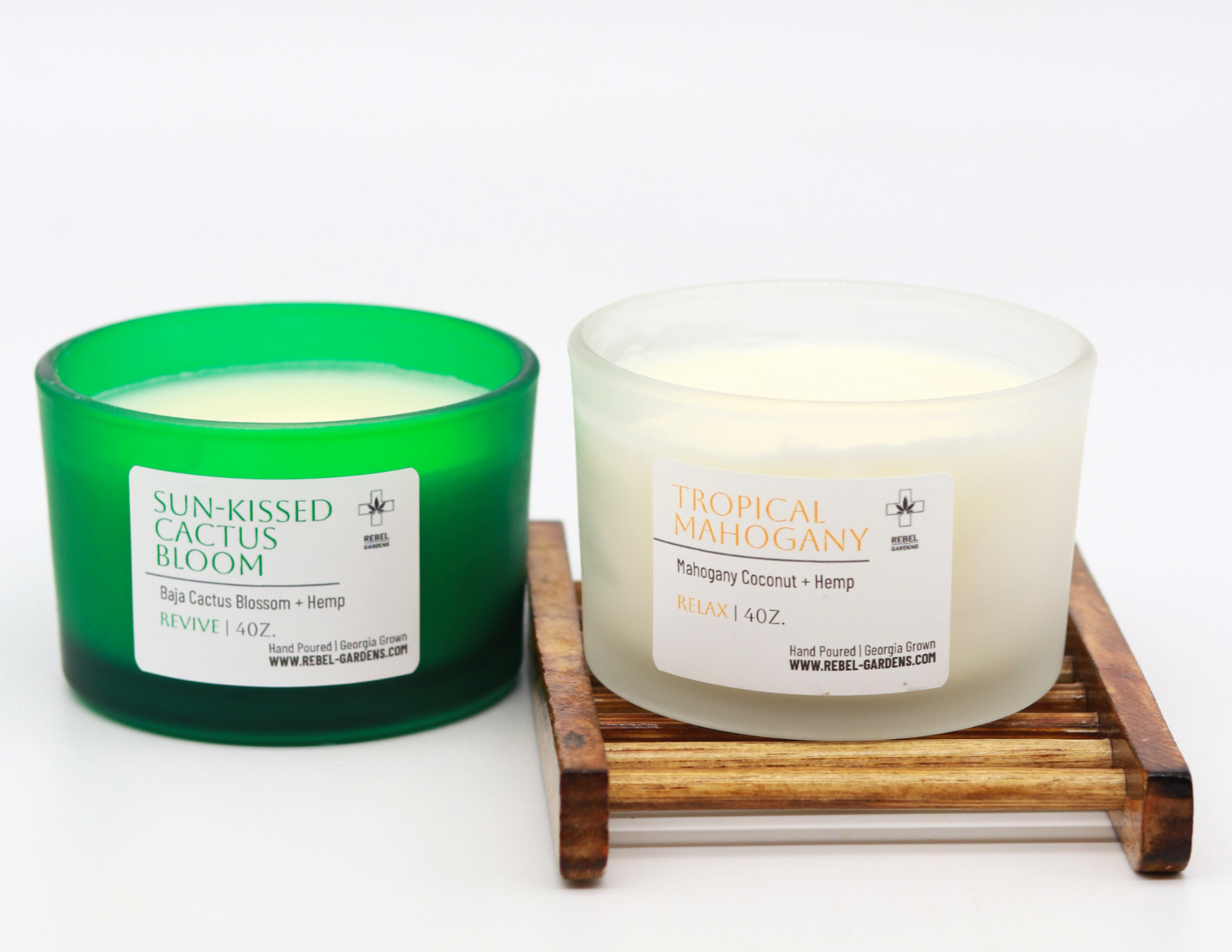 4oz Sun-Kissed Cactus Bloom candle