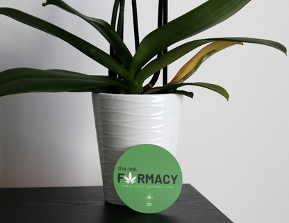 The Real Farmacy Coaster