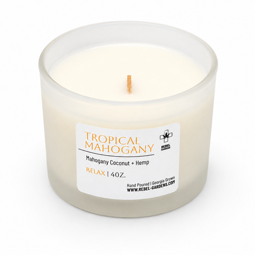4oz Tropical Mahogany Candle