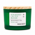 4oz Sun-Kissed Cactus Bloom candle