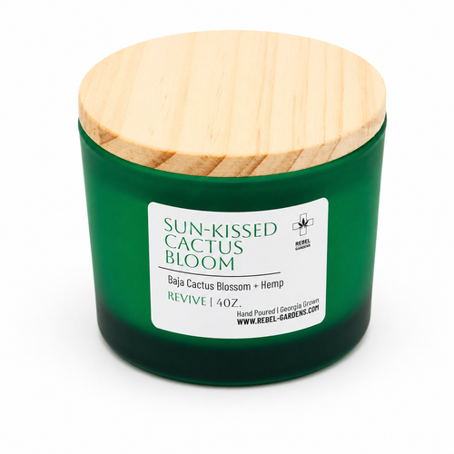4oz Sun-Kissed Cactus Bloom candle