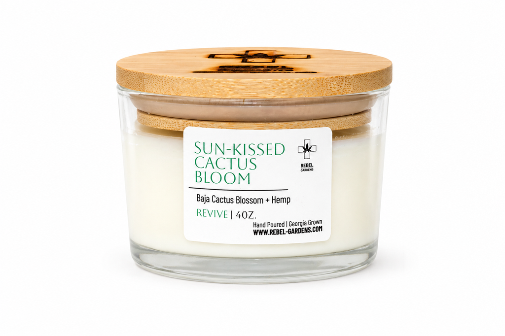 Sun-Kissed Cactus Bloom Hemp Candle