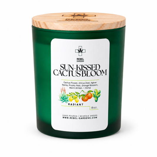 Sun-Kissed Cactus Bloom Hemp Candle