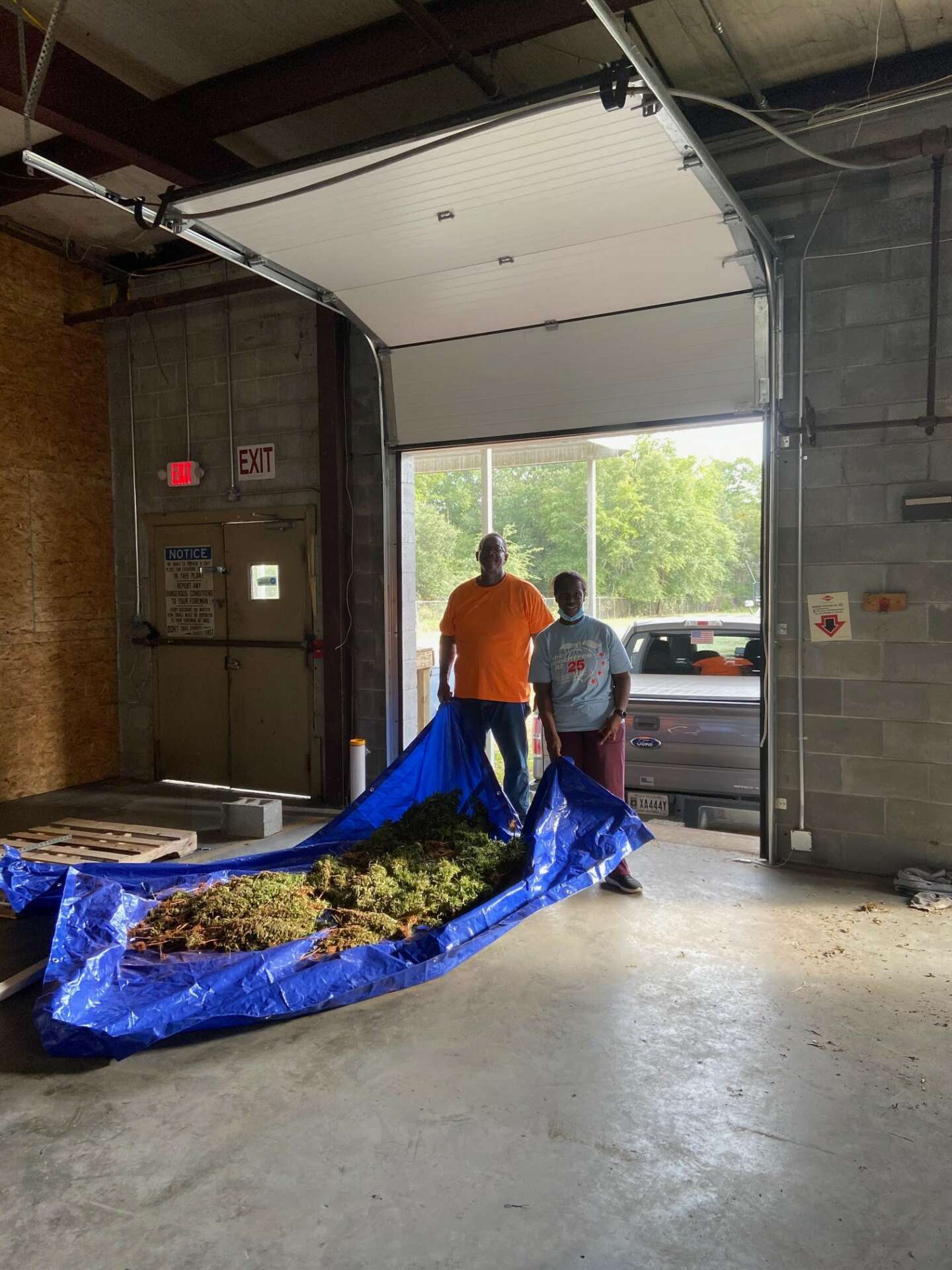 Barbara Sharpe standing next to cannabis plants on a tarp